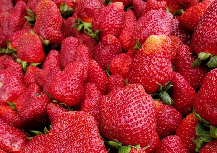 Jahody sú vitamínovou bombou, RECEPTY na skvelé pochúťky z jahôd. Foto - pexels