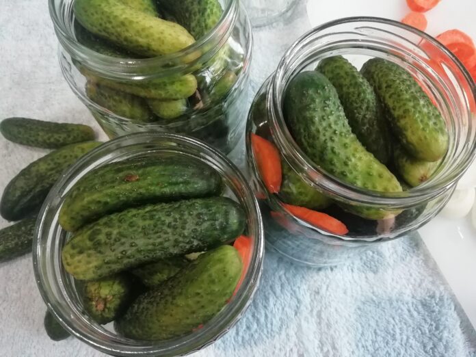 Chrumkavé zavárané uhorky - recept. Foto - ZvM