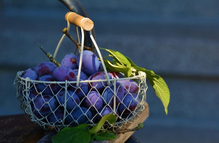 Slivky sú vychutnáte na mnoho spôsobov. Foto - pexels