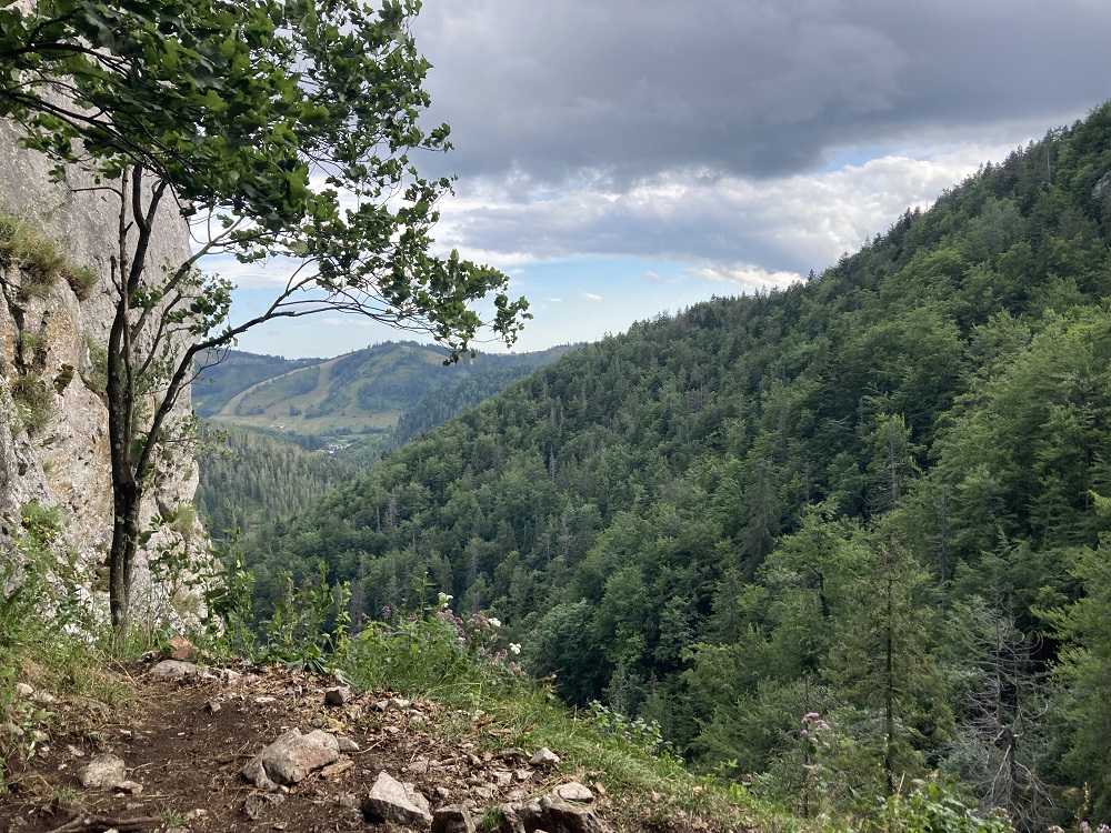Cestovanie vlakom po Slovensku - Zejmarská roklina v Slovenskom raji. Foto - ZvM