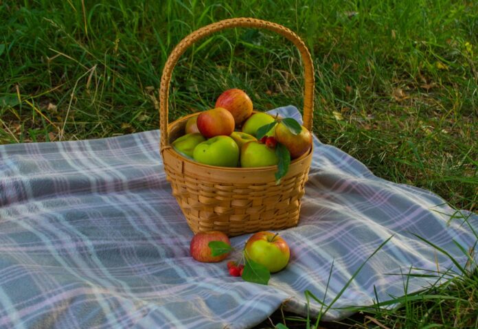Jablká v kuchyni: Ako ich konzumovať  a spracovať. Foto - pexels