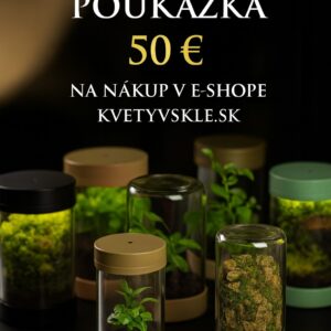Darčekový voucher na unikátne rastlinné terárium - 50 eur