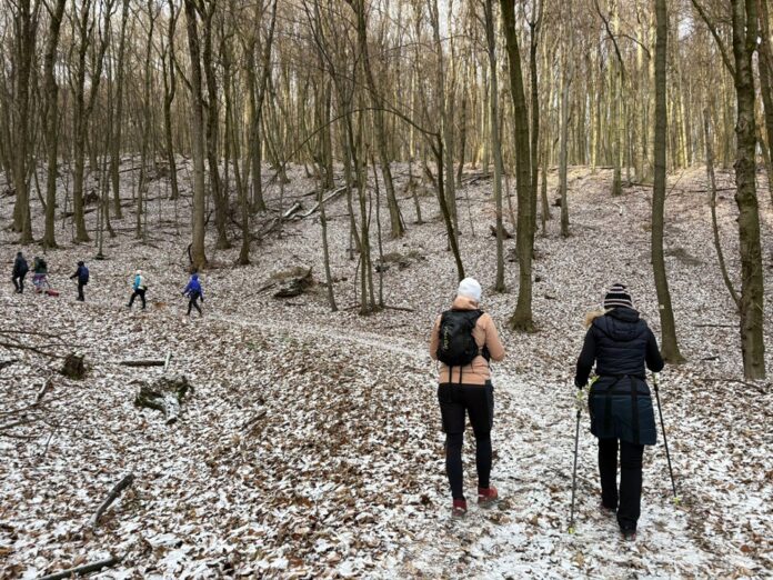 Nordic walking v zime? Ženy v chladných mesiacoch pohyb potrebujú. Foto - FB/Nordic Walking nadšenci od Bratislavy až po Pezinok