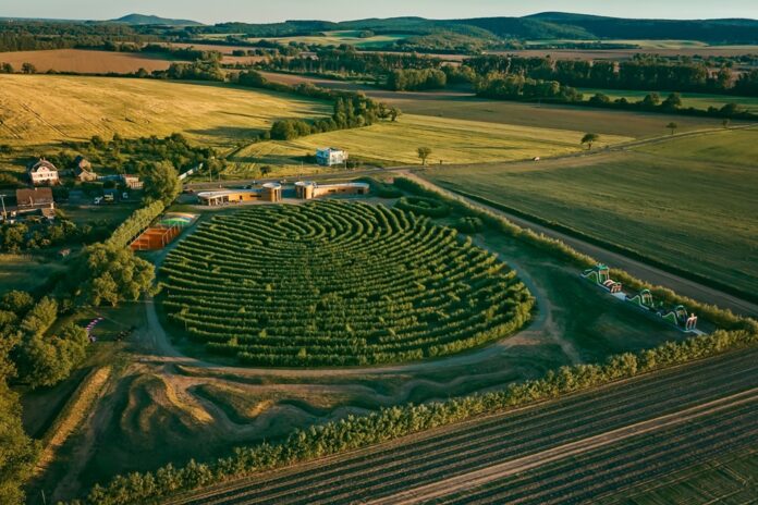 Na východnom Slovensku otvorili unikátne živé vŕbové bludisko Willkov park. Foto - Silvia Pavlíková